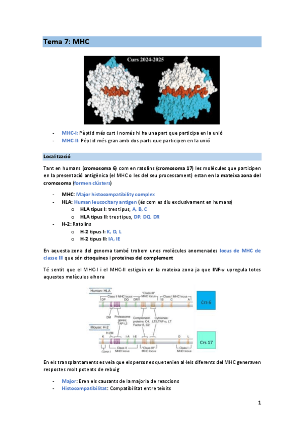 Miniatura del documento T7-IMM.pdf