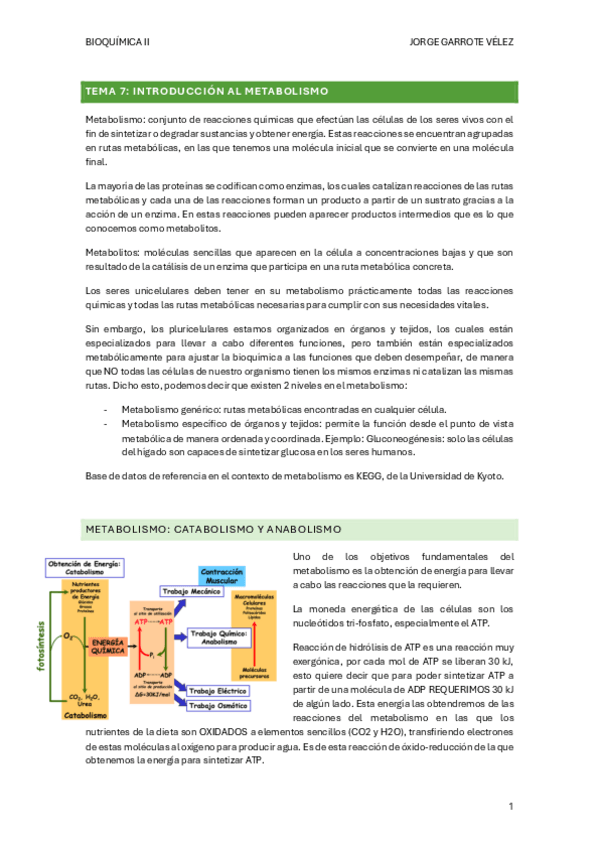 Miniatura del documento TEMA-7-Introduccion-al-Metabolismo-Oxidativo.pdf