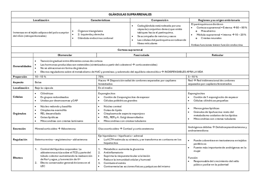 Miniatura del documento imprimir-organo.pdf