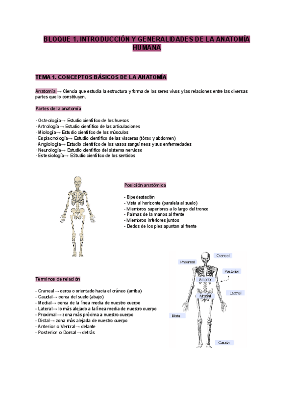 Miniatura del documento Tema-1-anatomia.pdf