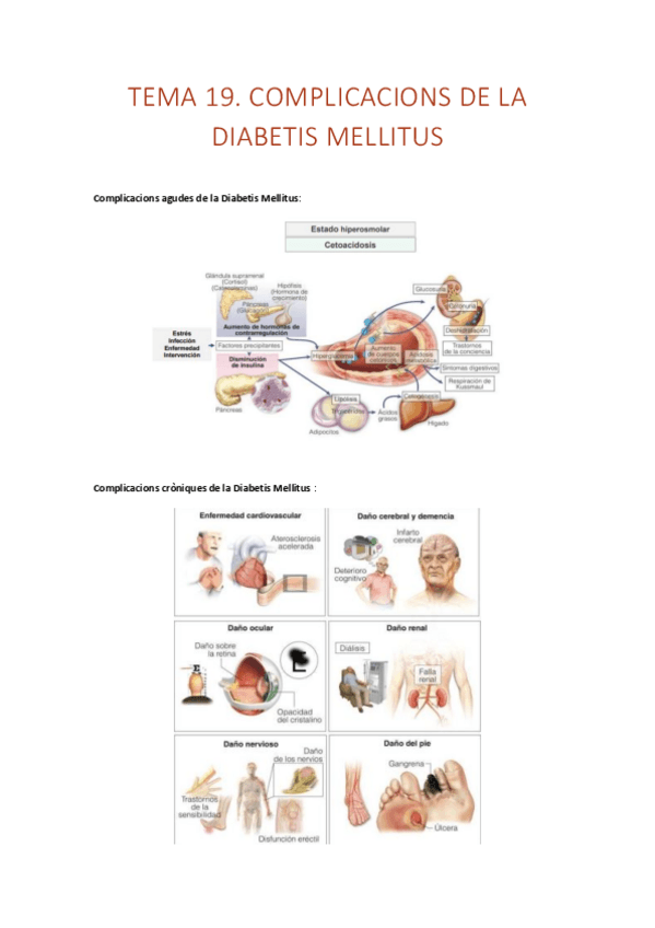 Miniatura del documento TEMA-19.-Complicacions-de-la-diabetis-mellitus.pdf