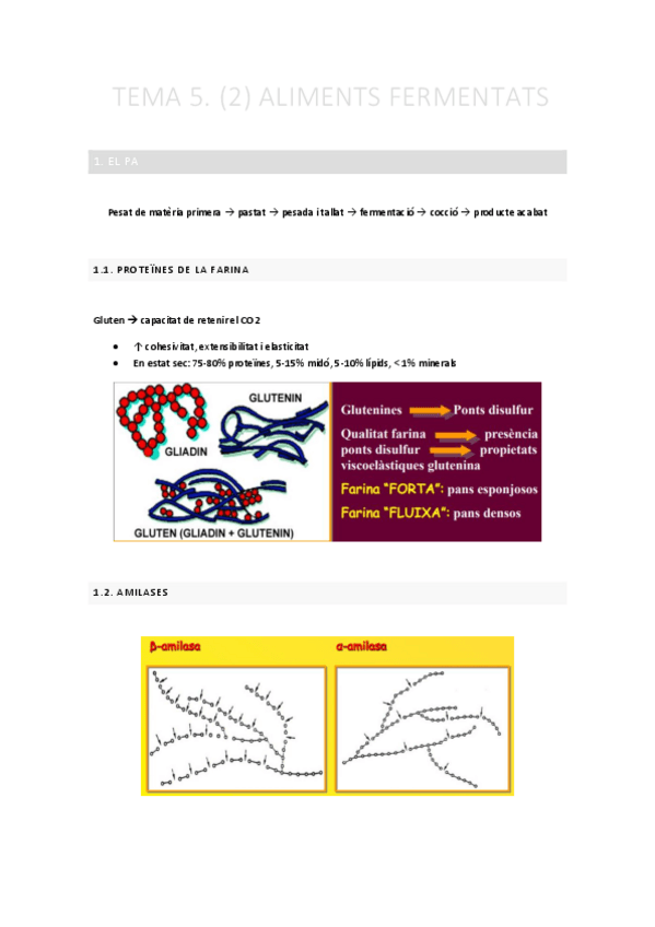 Miniatura del documento TEMA-5.-2-Aliments-fermentats.pdf