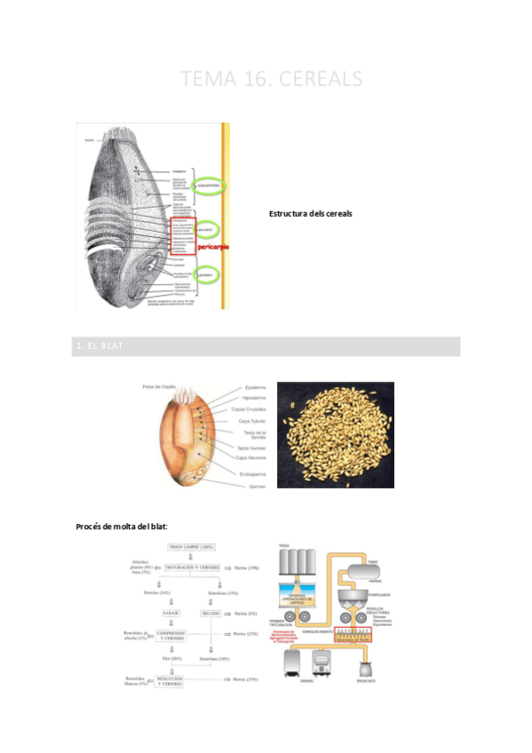 Miniatura del documento TEMA-16.-Cereals.pdf