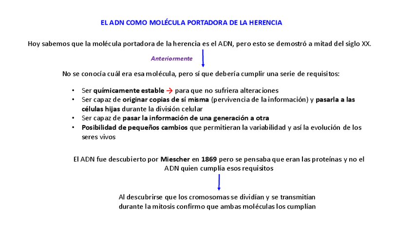Miniatura del documento 1-El-ADN-portador-del-mensaje-genetico-2-Bach-2024-en-modf-2.pdf