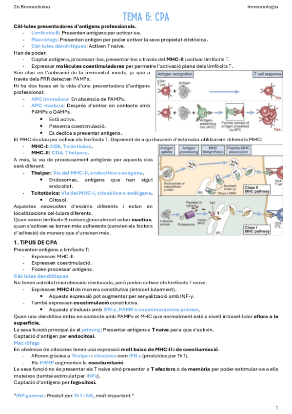 Miniatura del documento T6-CPA.pdf