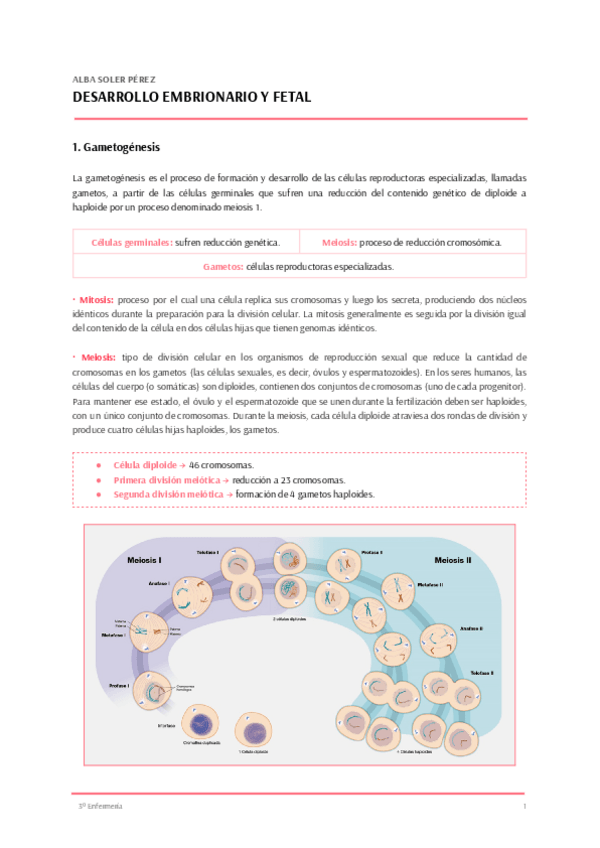 Miniatura del documento T.8-CUIDADOS-MUJER-1.pdf