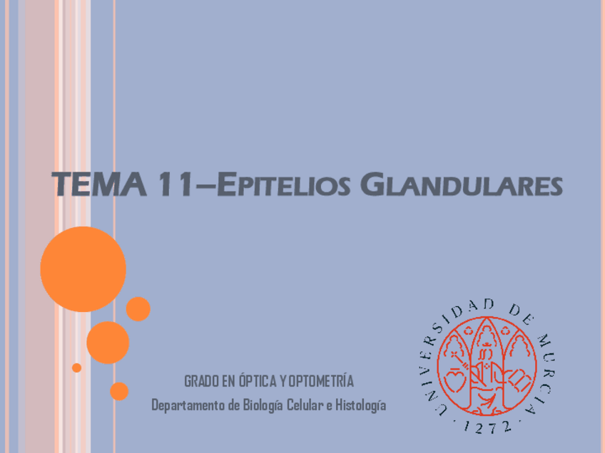 Miniatura del documento Tema-11-Epitelios-glandulares.pdf