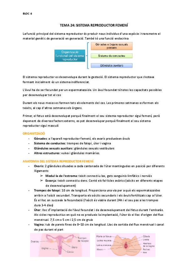 Miniatura del documento BLOC-6.pdf