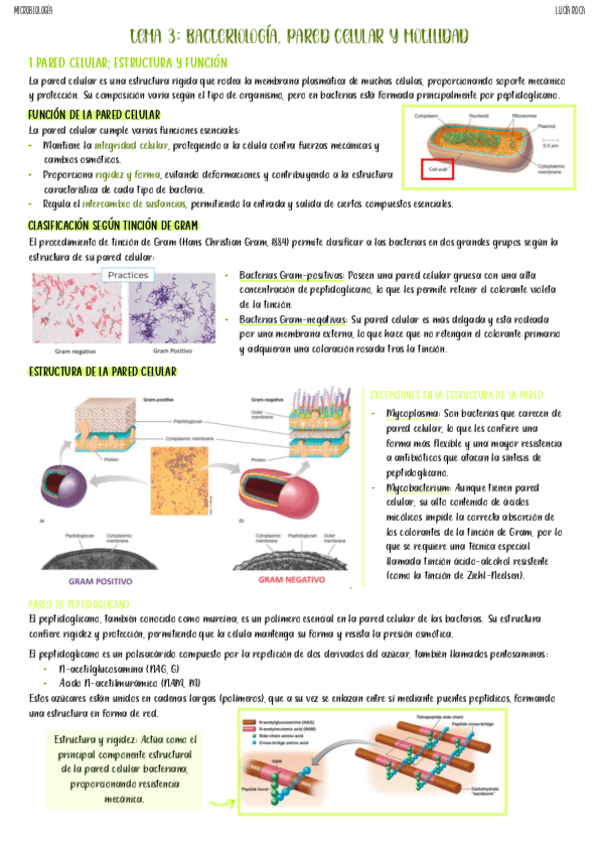 Miniatura del documento tema-3-micro.pdf