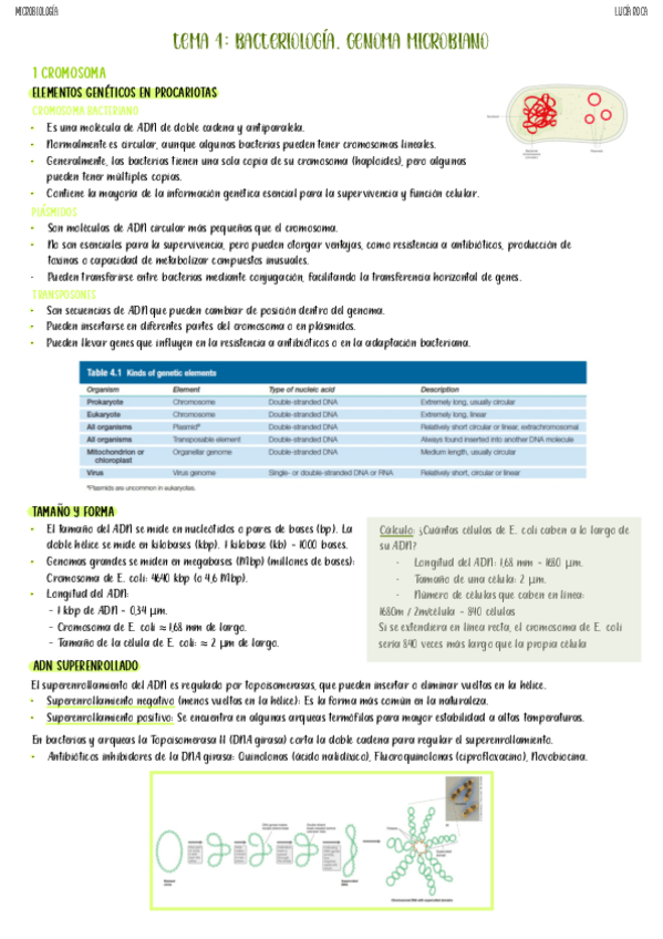 Miniatura del documento tema-4-micro.pdf