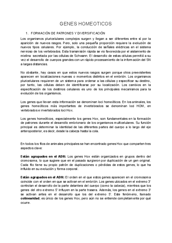 Miniatura del documento GENES-HOMEOTICOS.pdf