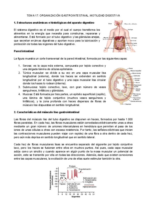 Miniatura del documento Fisiologia-T17.pdf