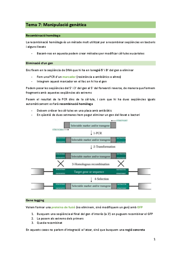 Miniatura del documento T7-ENG.pdf