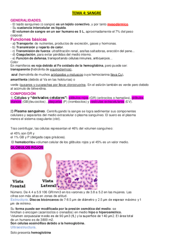 Miniatura del documento TEMA-4-SANGRE.pdf