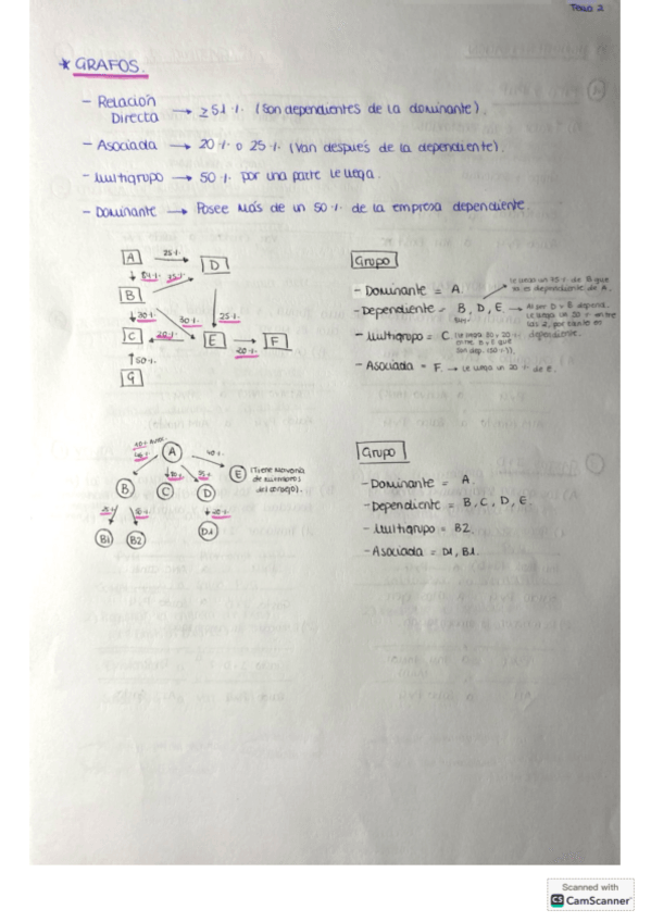 Miniatura del documento ESQUEMAS-CONSOLIDACION.pdf