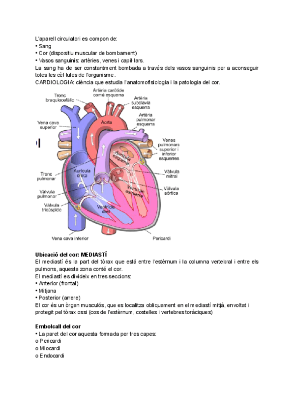 Miniatura del documento FISIOPATOLOGIA-tema-cardiovascular.pdf