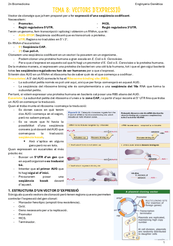 Miniatura del documento T8-Vectors-dexpressio.pdf