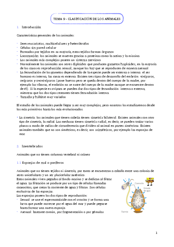 Miniatura del documento Tema-9-Clasificacion-de-los-animales.pdf
