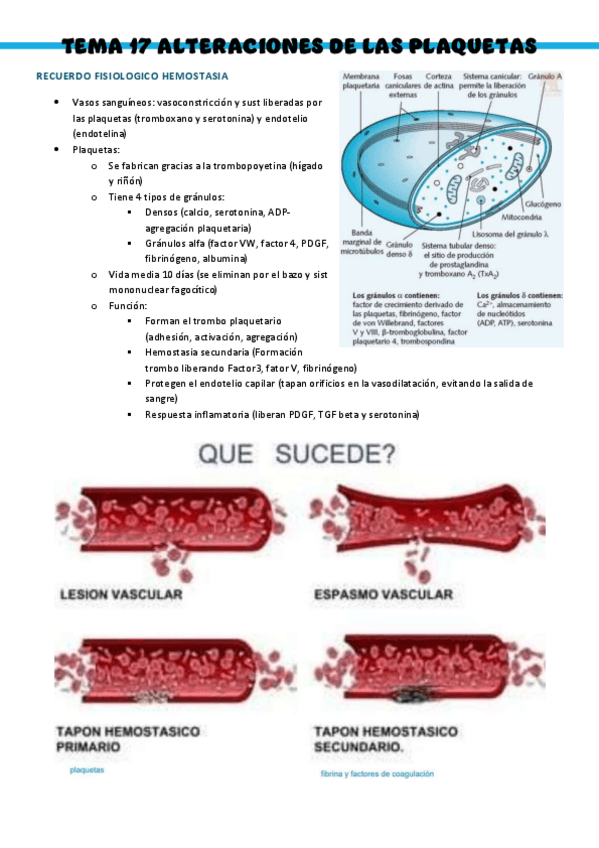 Miniatura del documento T17-Patologia-medica-general.pdf