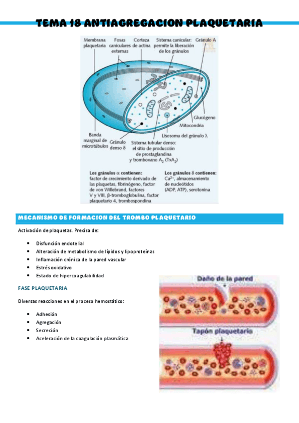 Miniatura del documento T18-Patologia-medica-general.pdf