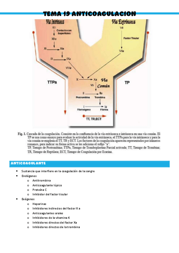 Miniatura del documento T19-Patologia-medica-general.pdf