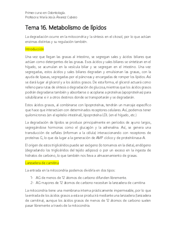 Miniatura del documento Tema 16. Metabolismo de los ácidos grasos.pdf