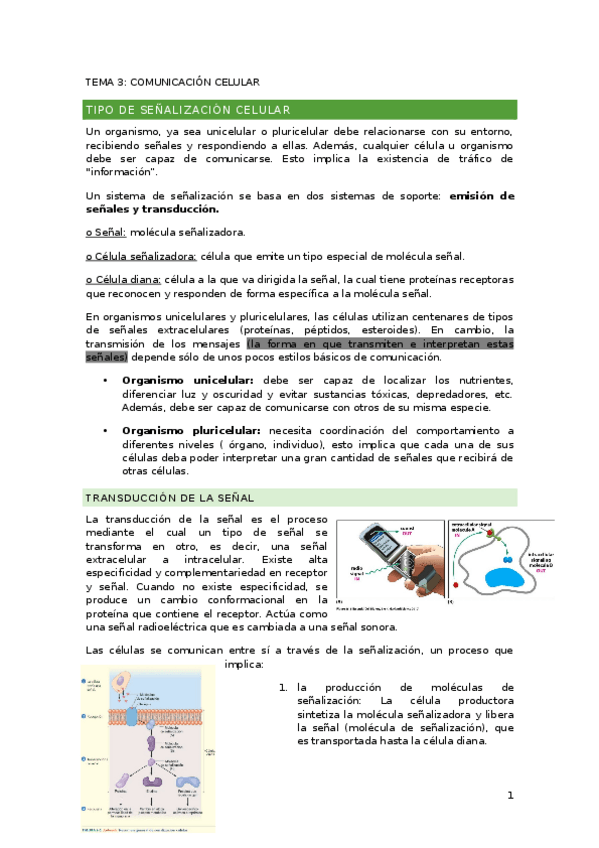 Miniatura del documento tema-3.comunicacion-celular.docx