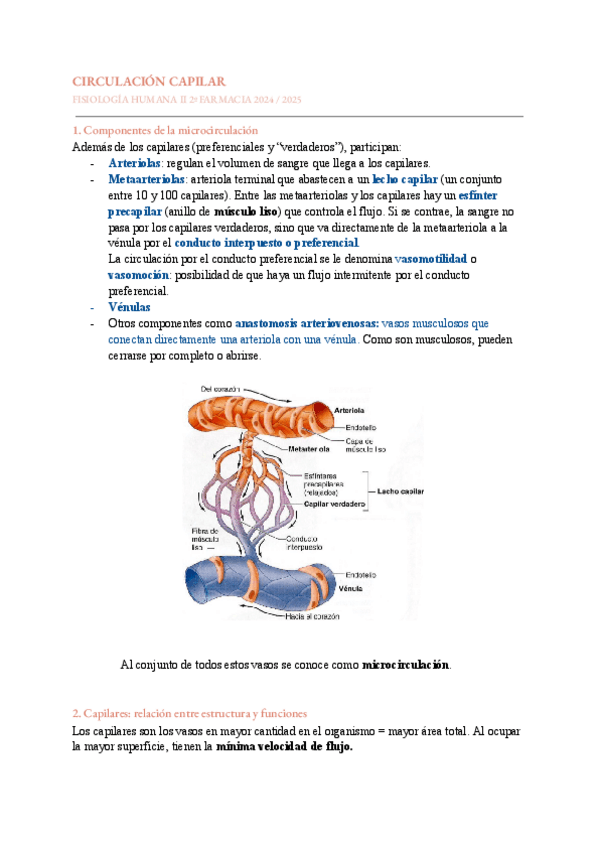 Miniatura del documento FISIO-II-T10-Circulacion-capilar.pdf