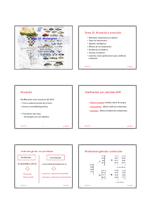 Miniatura del documento Tema-15.-Mutacion-y-evolucion.pdf