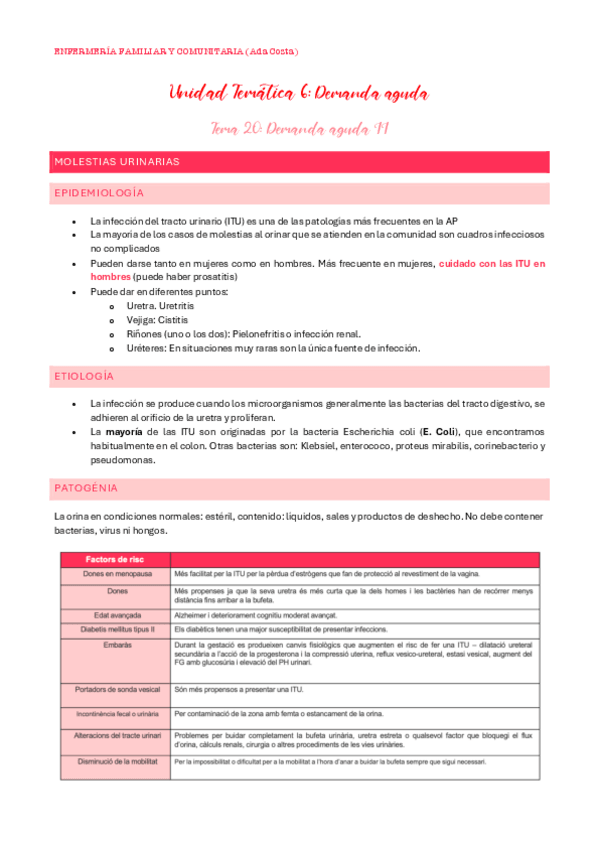 Miniatura del documento UT6.-Tema-20-Demanda-aguda-p.2.pdf
