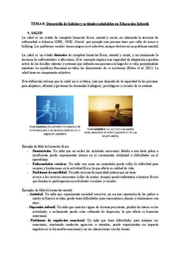 Miniatura del documento tema-introductorio.pdf
