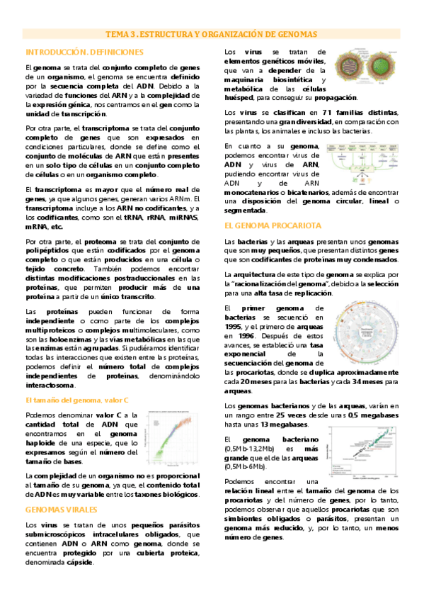 Miniatura del documento Tema 3 genética molecular, Estructura y organización de los genomas.pdf