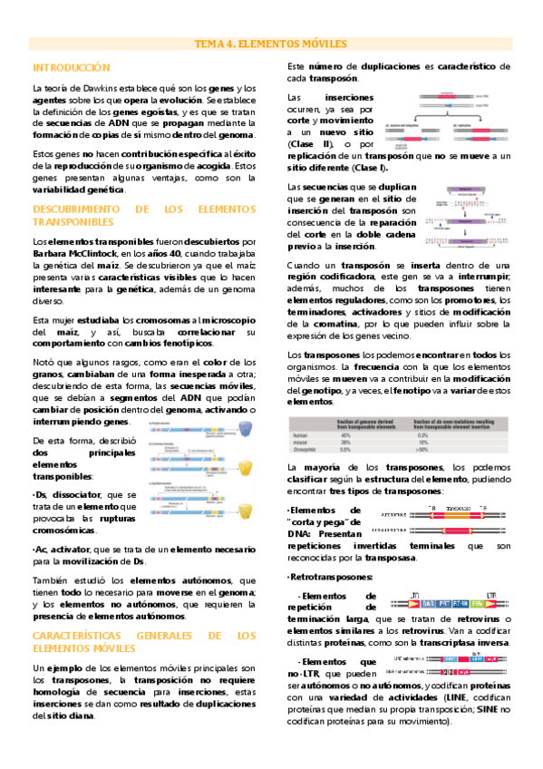 Miniatura del documento Tema 4 genética molecular, Elementos móviles.pdf