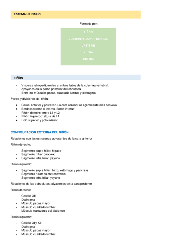 Miniatura del documento Sistema-urinario-completo.pdf