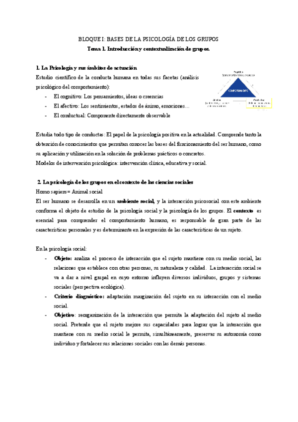 Miniatura del documento PDG-APUNTES-TEORIA-tema-1.pdf