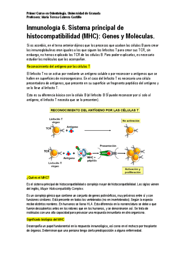 Miniatura del documento Inmunología 6. MHC.pdf