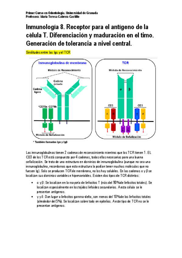 Miniatura del documento Inmunología 8. Receptor de antígenos de la célula T.pdf
