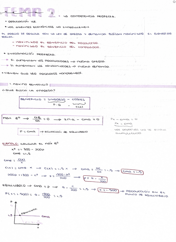 Miniatura del documento TEMA-2.pdf