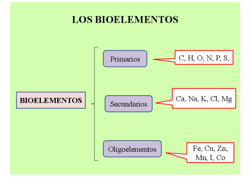Miniatura del documento esquemas-biologia.pdf