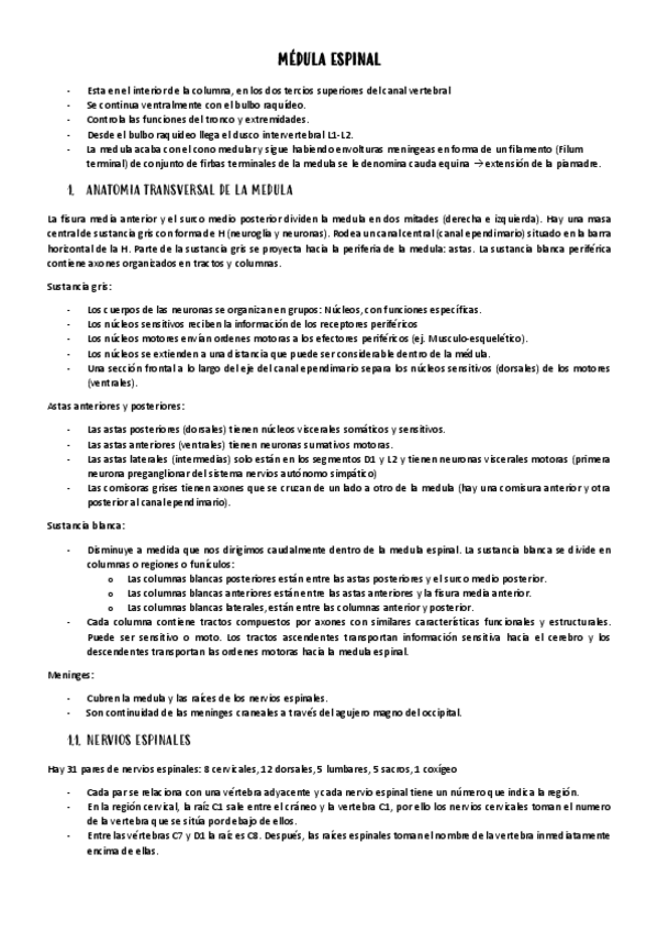 Miniatura del documento MEDULA-ESPINAL.pdf