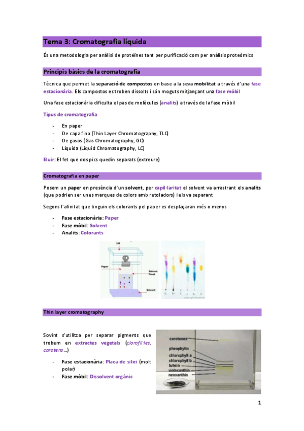 Miniatura del documento T3-PRO.pdf
