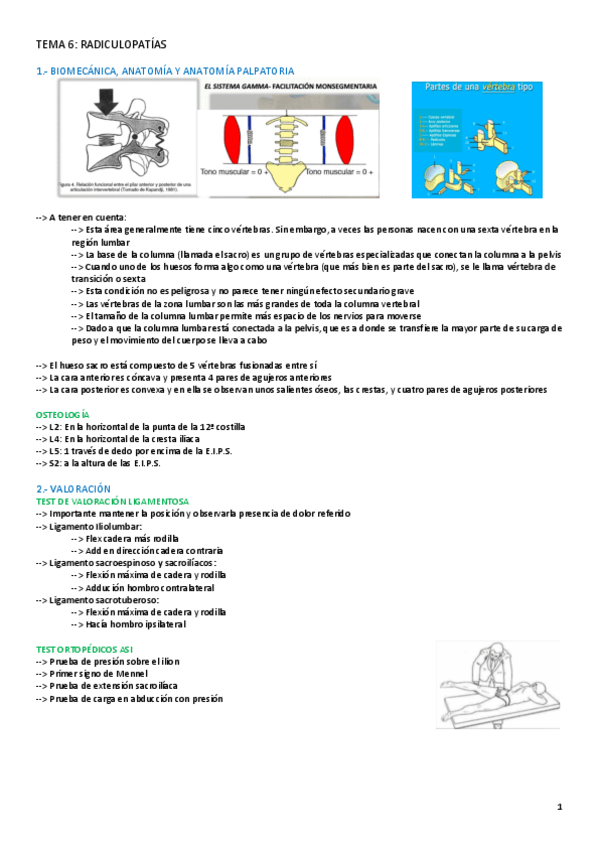 Miniatura del documento TEMA-6-TERAPIA.pdf