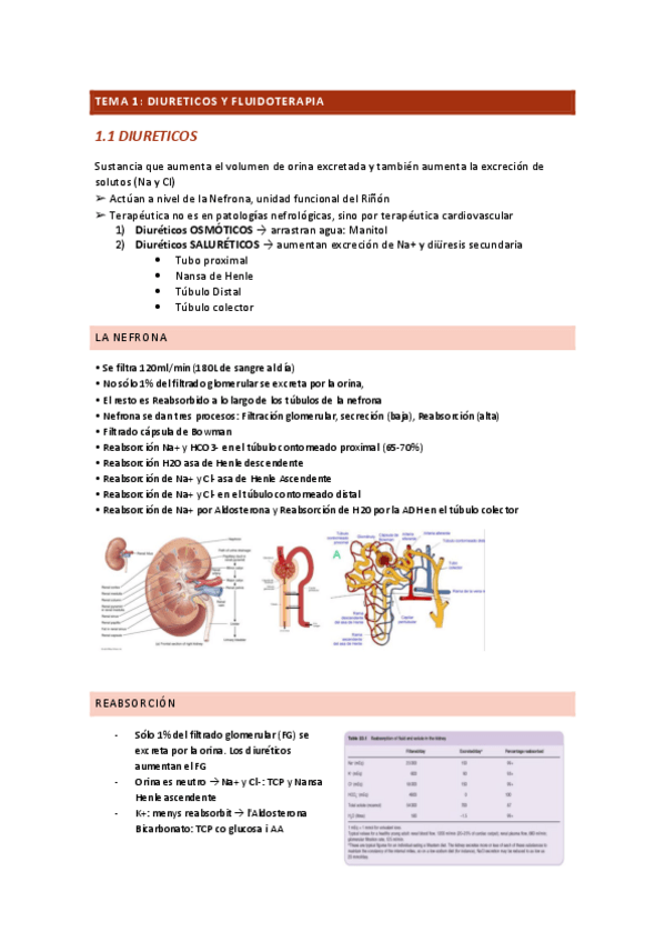 Miniatura del documento TEMA-1-2-FARMA.pdf