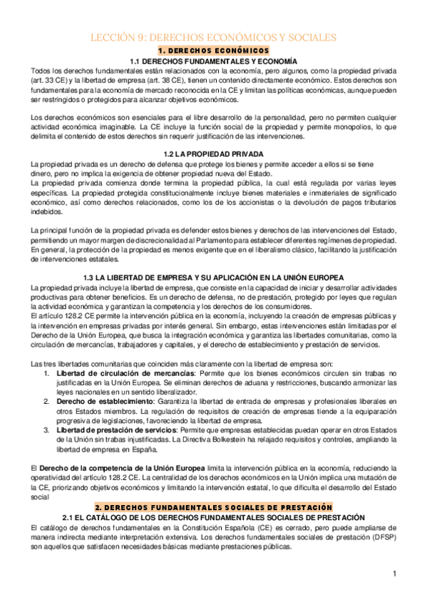 Miniatura del documento LECCION-9-DERECHOS-ECONOMICOS-Y-SOCIALES.pdf
