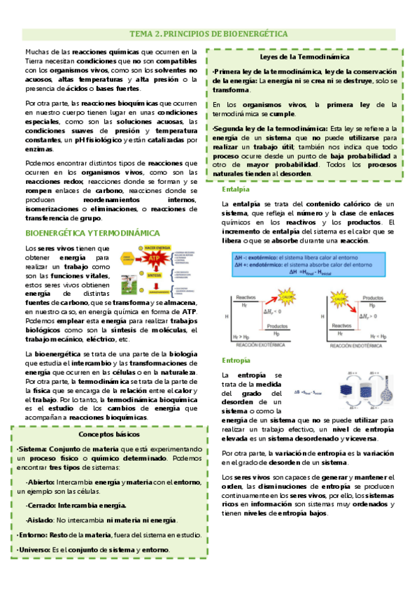 Miniatura del documento Tema 2 enzimología general y aplicada, Principios de bioenergética.pdf