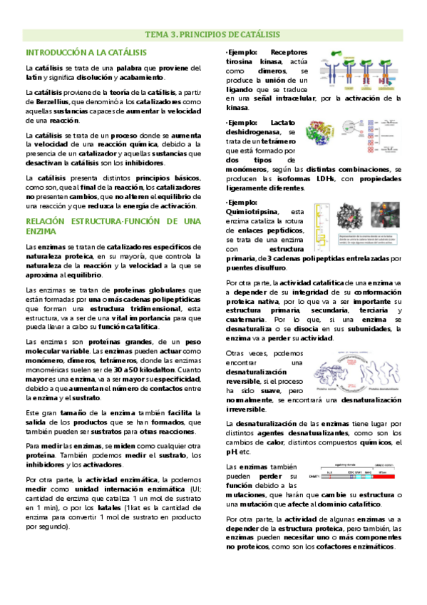 Miniatura del documento Tema 3 enzimología general y aplicada, Principio de catálisis.pdf
