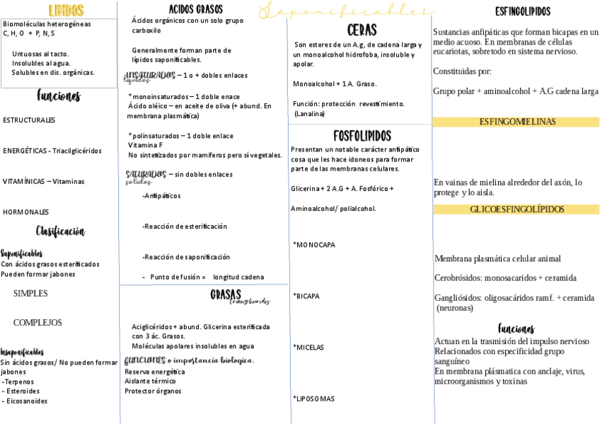 Miniatura del documento lipidos-1.pdf