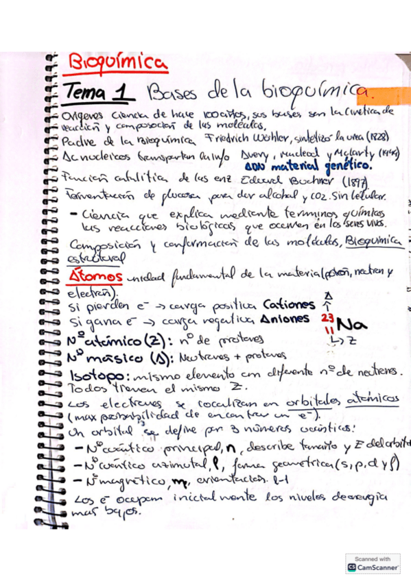 Miniatura del documento Bioquimica-apuntes-de-clase-y-del-libro.pdf