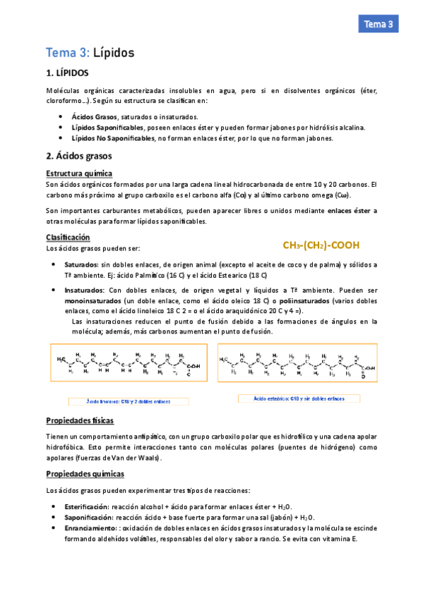 Miniatura del documento Lipidos-Biologia-Tema-3.pdf