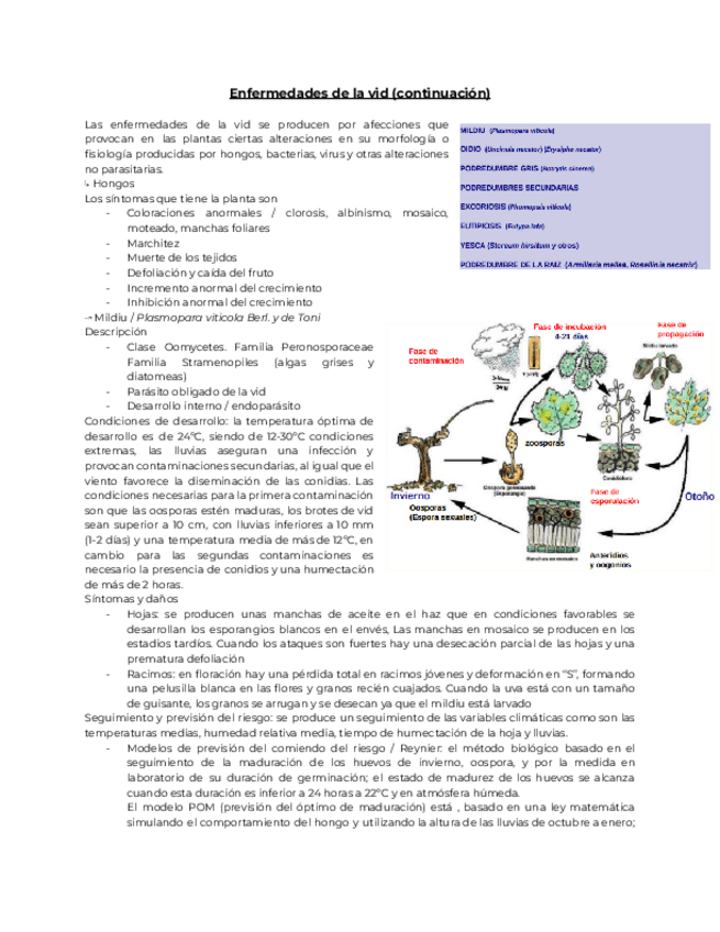 Miniatura del documento 6.-TVP-continuacion.pdf